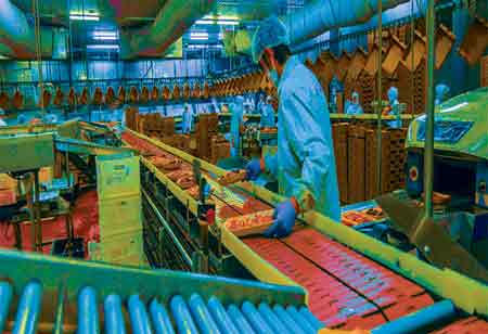 Embracing Sustainability in the European Coffee and Tea Industry